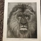 Large Antique 1900 Print, "An Old Monarch" by The Perry Pictures