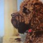 Whisky's Diary 1966 German Pet Story FUN CUTE!