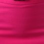 Casual Fitted Belted Mini Pencil Skirt