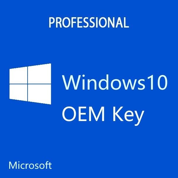 windows 10 professional oem download