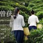 Shi Feng Lion Peak Brand Pre-Ming Premium Longjing Dragon Well Green Tea 50g Tin