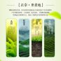 Shi Feng Lion Peak Brand Pre-Ming Premium Longjing Dragon Well Green Tea 50g Tin