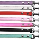 Premium Dog Leashes