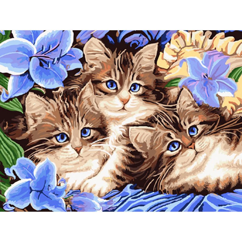 Cute kittens DIY Acrylic - NOT AVAILABLE AT THE MOMETN