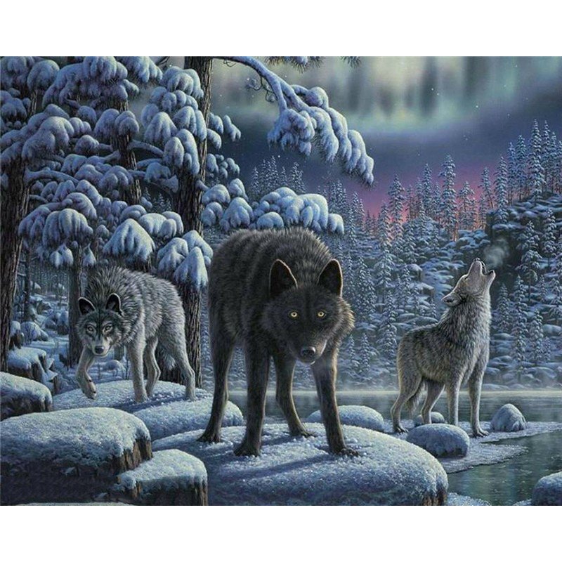 Night wolves DIY Acrylic Paint by Numbers kit