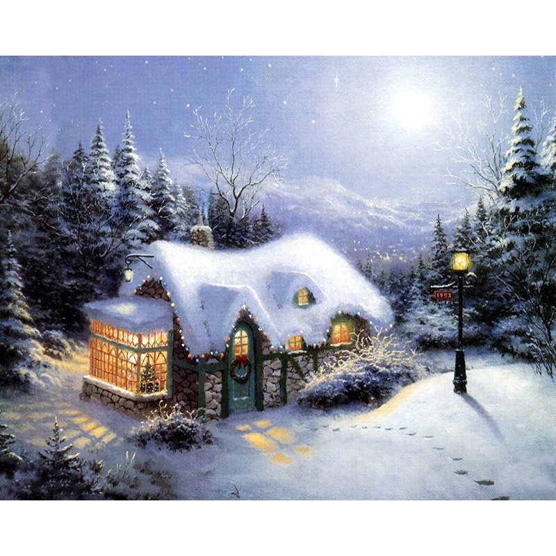 Christmas house DIY Acrylic Paint by Numbers kit