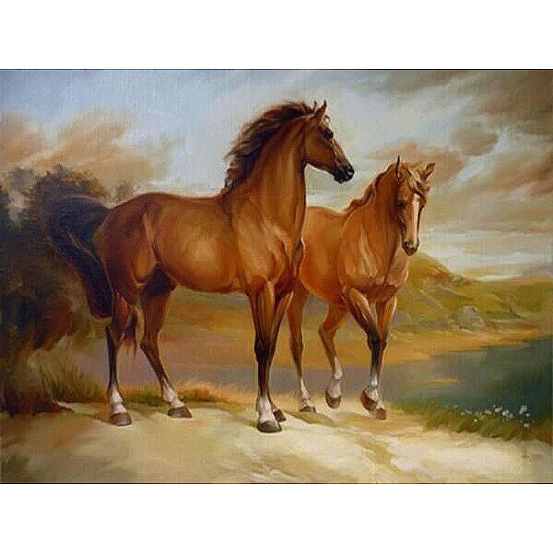 Horses DIY Acrylic Paint by Numbers kit