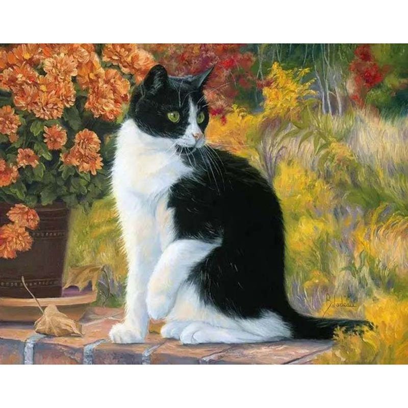 Cat DIY Acrylic - NOT AVAILABLE AT THE MOMETN