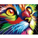 Colorful Cat DIY Acrylic - NOT AVAILABLE AT THE MOMETN