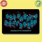 Charlotte Hornets 2 NBA Basketball Sport Doormat welcome floor mat
