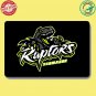 toronto raptors 2 NBA Basketball Sport Doormat welcome floor mat