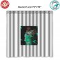 Boston Celtics 2 NBA Basketball Suport Shower Curtain