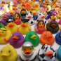 Rubber Duck Rhode Toys Island Novelty 2 Inches 100 Pieces Assorted Floats Squeak