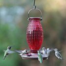 Vintage Glass Bird Hummingbird Feeder Vintage Antique Bottle Nectar Garden Gift