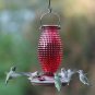 Vintage Glass Bird Hummingbird Feeder Vintage Antique Bottle Nectar Garden Gift