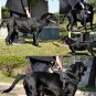 Black Dog Body Padded Vest Harness+Handle Large Dogs Comfort Control Training Xl