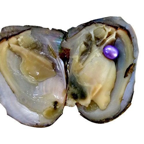 10 Individually Akoya Oysters With Large Pearls Inside Bulk 78 mm