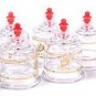 Hansol Professional Cupping Therapy Equipment Set With Pumping Handle 10 Cups