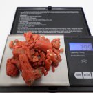 Red Coral Rough Cut Natural  213.0 ct Specimens