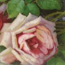 Antique Birthday Postcard White Rose Undivided Unposted