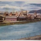 Real Photo Postcard The Pittsburgh and Lake Erie Railroad Company Unposted