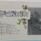 Antique 1912 New Year Postcard by John Winsch Germany Divided Posted Embossed
