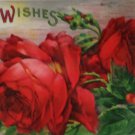 Antique Birthday Postcard Red Roses Divided Unposted Glossy