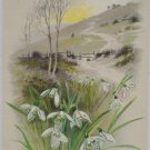Antique Easter Postcard Floral John Winsch Germany Embossed Glossy Unposted