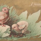Antique Easter Postcard Chicks Egg Embossed Unposted Divided