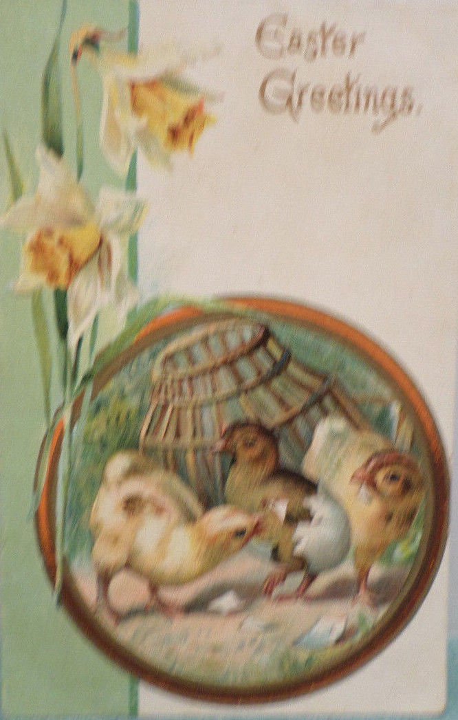 1907 Easter Postcard Baby Chicks Eggs Embossed Posted Undivided