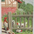 Antique Easter Postcard Rooster Hen Chicks Embossed Posted Divided