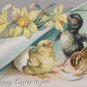 Antique Easter Postcard Baby Chicks and Duck Tucks Embossed Unposted Divided