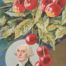 Antique Postcard President George Washington Divided Embossed Unposted