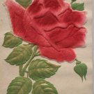 Antique Birthday Postcard Red Velvet Rose Heavily Embossed Unposted Germany