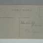 Antique Easter Postcard Baby Chickc Unposted Embossed Divided