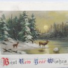 Antique 1911 New Year Postcard Country Scene by John Winsch Germany Unposted