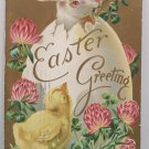 1909 Easter Postcard Rabbit Chick Egg Embossed Posted Divided
