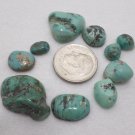 Natural Turquoise Cabochons 41.0 CTS