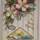 Antique Christmas Postcard Snow Scene Unposted Divided