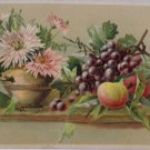 Antique Postcard Flowers and Fruit Posted Divided