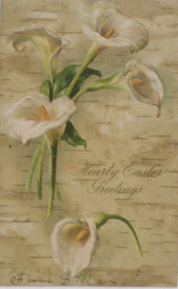Antique Easter Postcard Lilies Embossed Posted Undivided