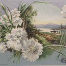 1911 Easter Postcard Scenic Winsch Embossed Unposted Divided