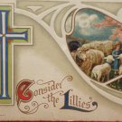 Antique Easter Postcard Little Boy Sheep Miller Embossed Posted Divided