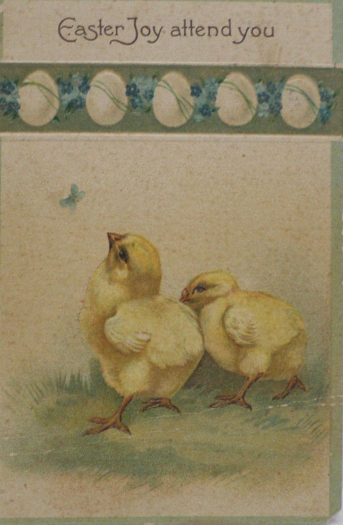 Antique Easter Postcard Chicks and Eggs Posted Divided