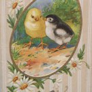 Antique Easter Postcard Chicks Embossed Unposted Divided