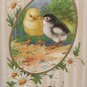 Antique Easter Postcard Chicks Embossed Unposted Divided