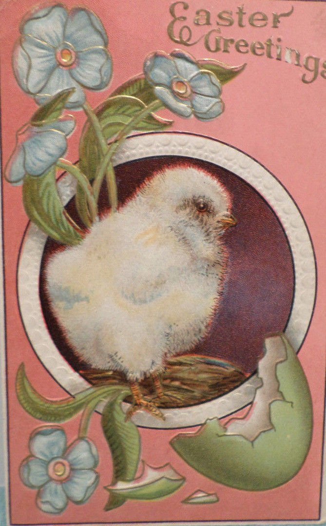 Antique Easter Postcard Chick Egg Embossed Unposted Divided