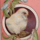 Antique Easter Postcard Chick Egg Embossed Unposted Divided