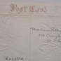 Antique Easter Postcard Chick Egg Embossed Unposted Divided