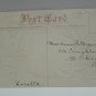 Antique Easter Postcard Chick Egg Embossed Unposted Divided